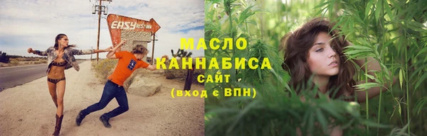 амф Гусев