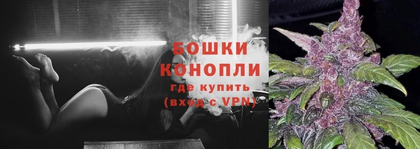 амф Гусев