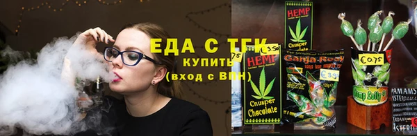 амф Гусев
