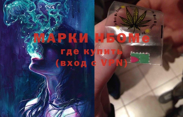 амф Гусев