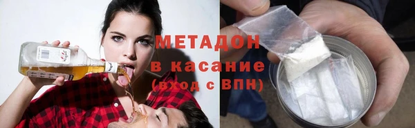 амф Гусев
