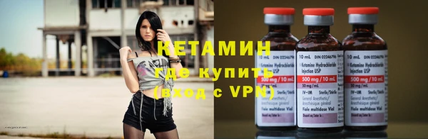 амф Гусев