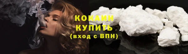 дживик Тихвин