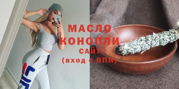 амф Гусев