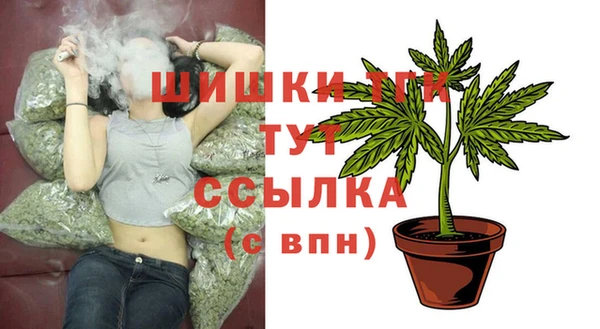 дмт Гусь-Хрустальный