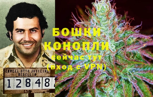 дмт Гусь-Хрустальный
