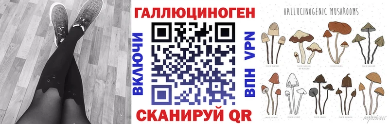 Купить где  Почеп  Галлюциногенные грибы Psilocybe 
